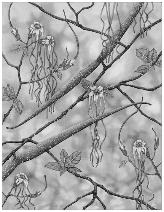 View print